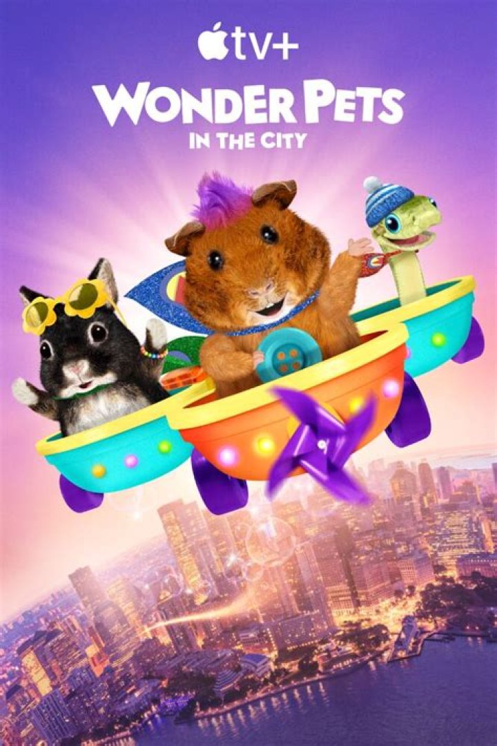 About the Town Pets