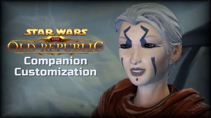 Applying companion customizations