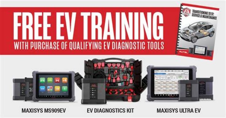 EV training with EXP.SHARE in Omega Ruby