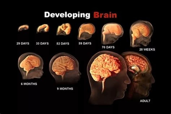 How do developing sequels work? When's a good time to develop one?