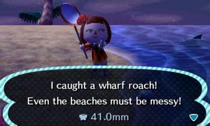 How do I catch a Wharf Roach?