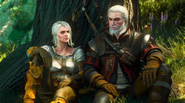 How does Potion Toxicity work in The Witcher 2?