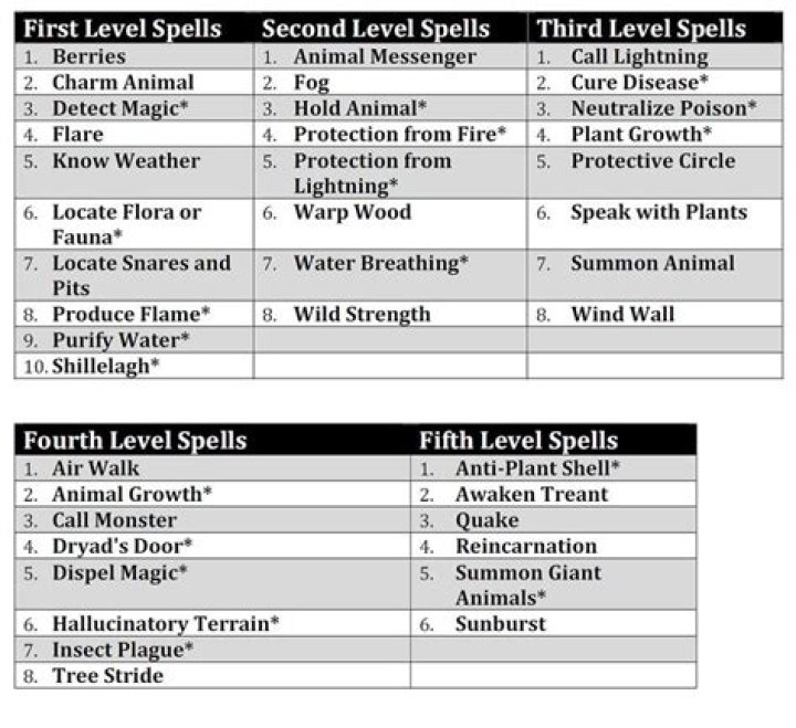 How many spells can I learn?