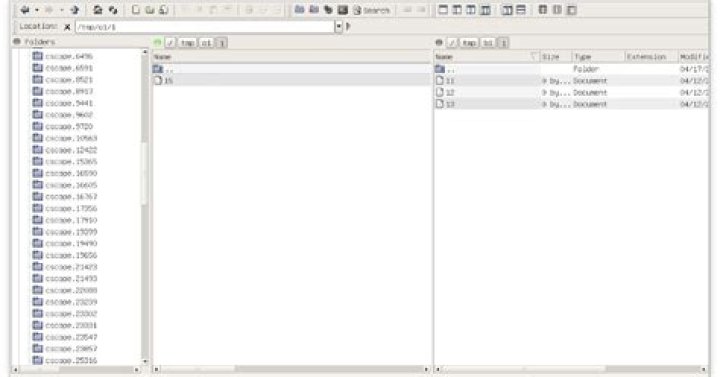 mv: Directory not empty