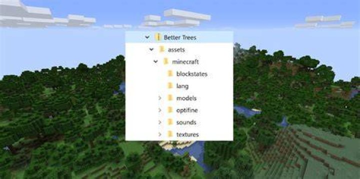 No .minecraft bin or resource folder! [closed]