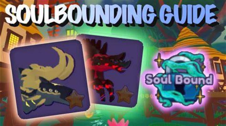 What does soulbound mean?