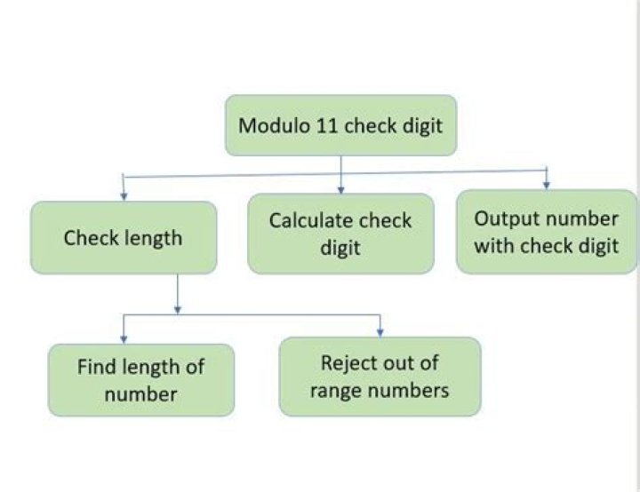 What is this modulo 11 check digit algorithm called?